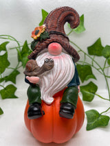 Gnome With Snail Friend Ornament