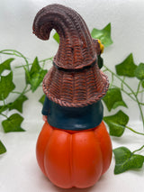 Gnome With Snail Friend Ornament