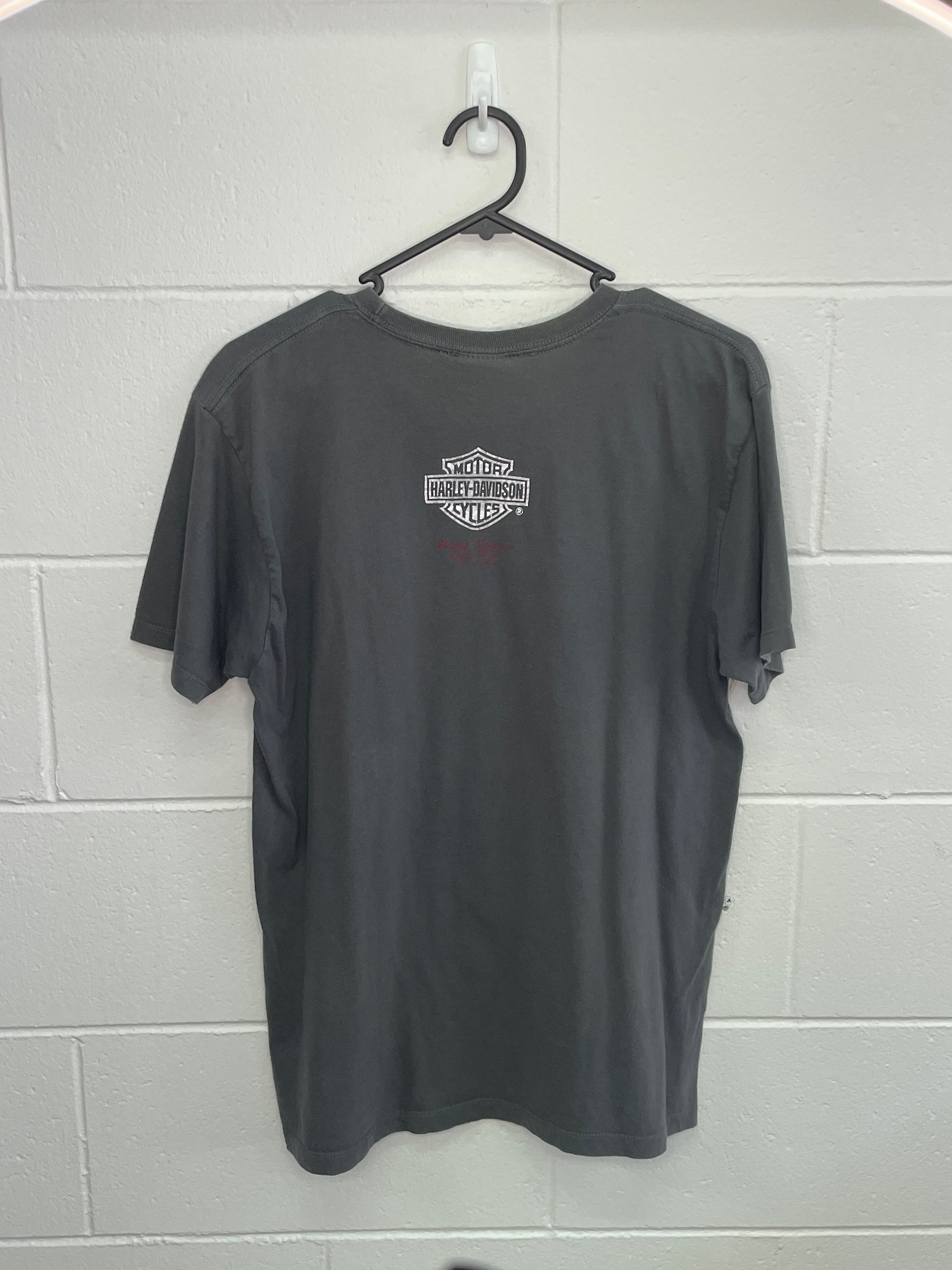 Harley Davidson Cape Town Grey T-Shirt Medium